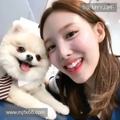 蓬盈晓